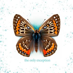 【黑夜在线视频】在线视频高速拖拽
